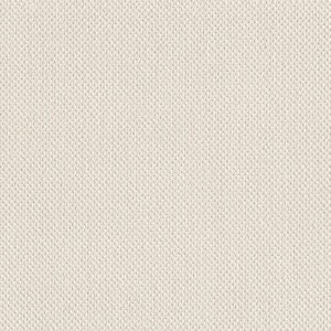 Lightbourne - Pale Cream - Beige 39.3 oz. Nylon Loop Installed Carpet