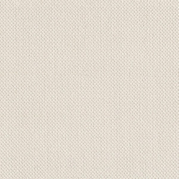 Lifeproof Lightbourne - Pale Cream - Beige 39.3 oz. Nylon Loop Installed Carpet