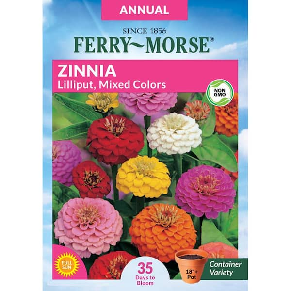 Ferry-Morse Zinnia Lilliput Mixed Colors Flower Seed 6806 - The Home Depot