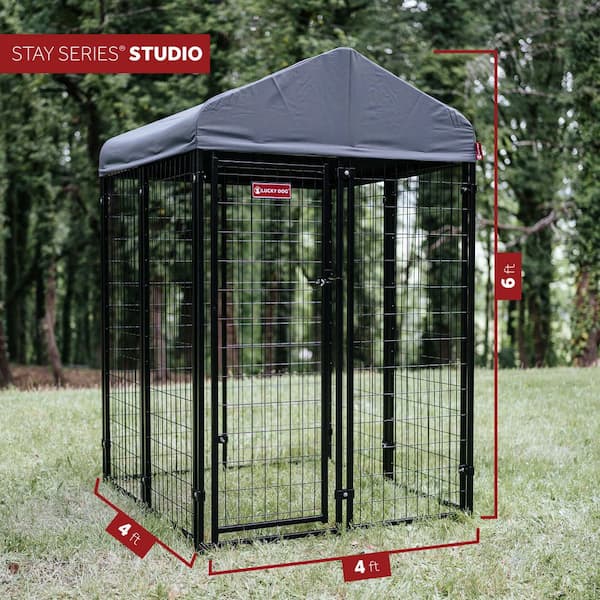 lucky Amazon.com: Lucky Dog 8ft x 4ft x 6ft Large Outdoor Dog