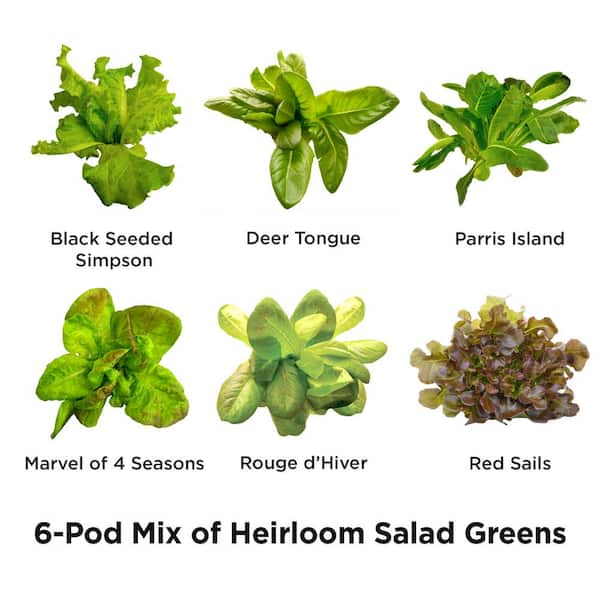 Heirloom Salad Greens Seed Pod Kit