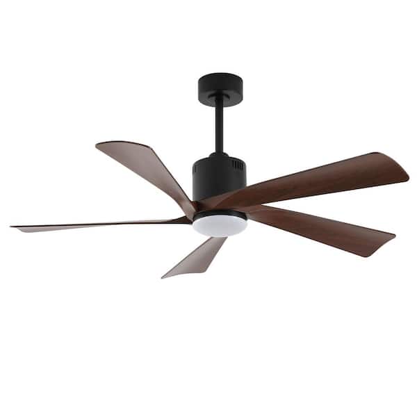 Matthews Fan Company Patricia 52-in Matte Black Integrated LED Indoor/Outdoor Ceiling Fan with Remote (5-Blade)