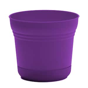 Saturn 12.25 in. L x 14.5 in. W x 10.75 in. H 12 qts. Royal Lilac Indoor/Outdoor Plastic Planter with Saucer