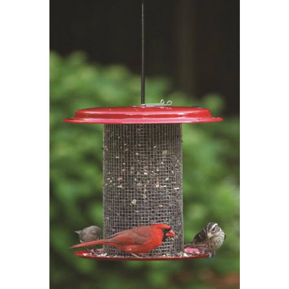 Green Metal Hanging Mesh Bird Feeder for Sunflower Seeds