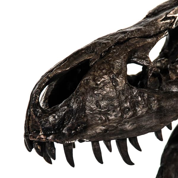 Zentique Polyresin Glazed Dark Bronze Tyrannosaurus Rex Skull W Base Shi014 The Home Depot