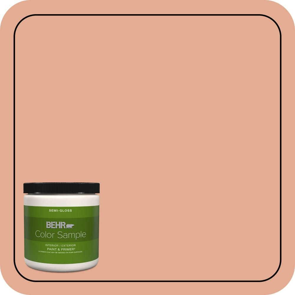 8 oz. #M200-4 Coral Cloud Semi-Gloss Interior/Exterior Paint & Primer Color Sample product image for price tracking