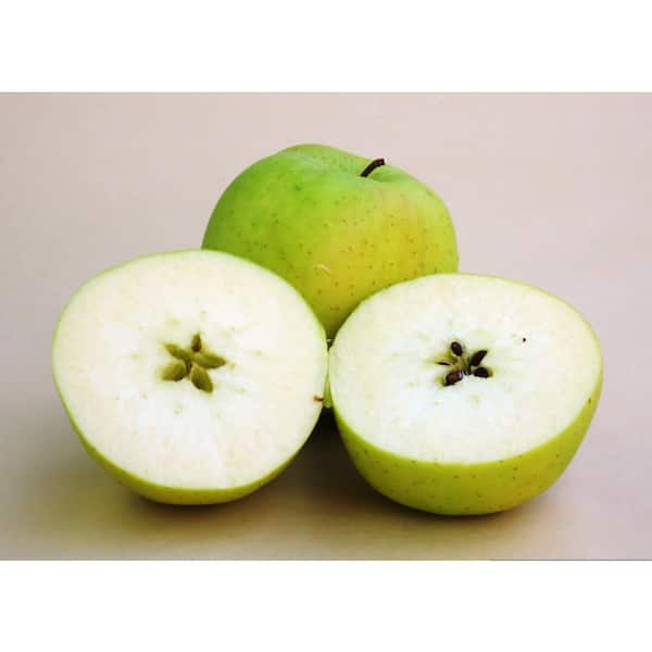 white apple fruit