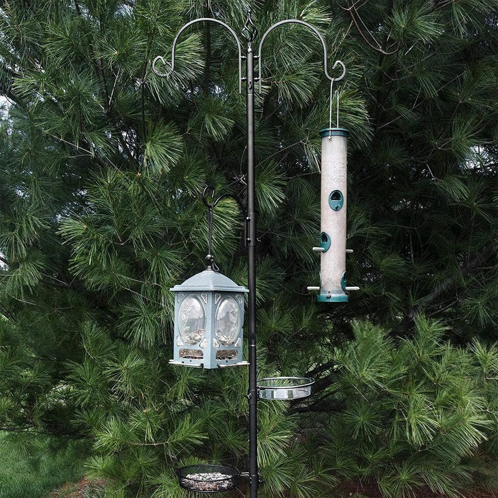 Black Metal Deluxe Bird Feeding Station Kit with Bird Bath and Hooks