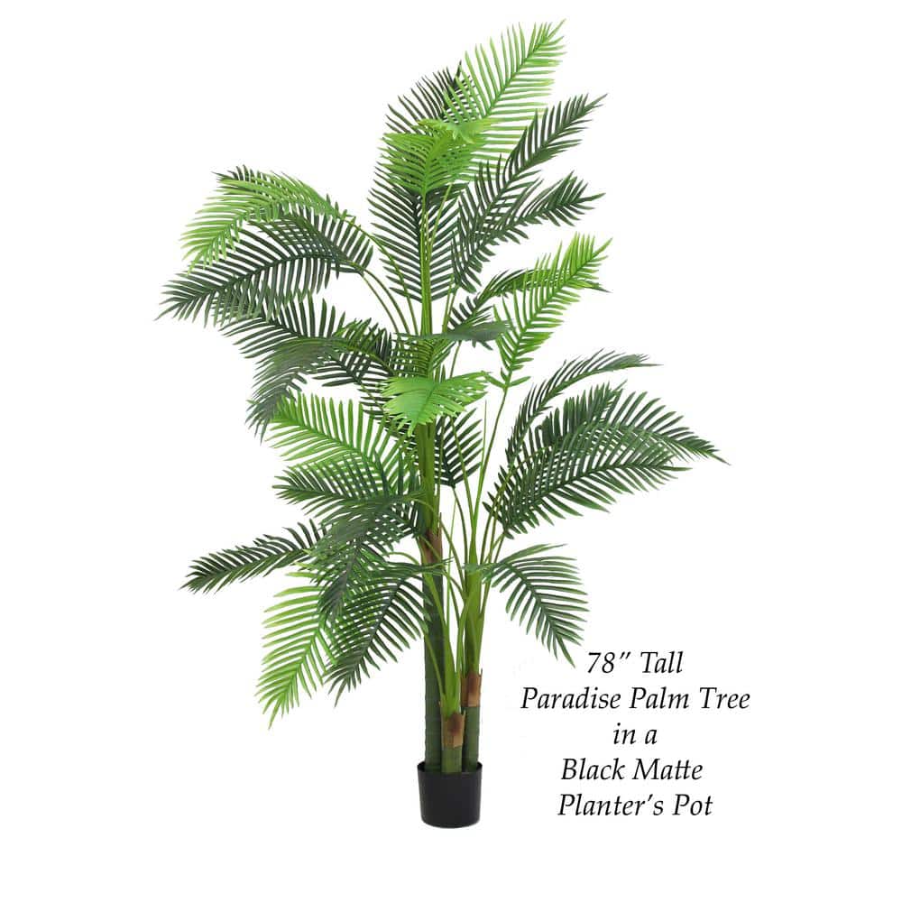 84" Green Silk Paradise Palm Tree in Black Matte Planter Pot