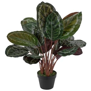 30" Artificial Large Green Leaf Calatheas Potted Plant