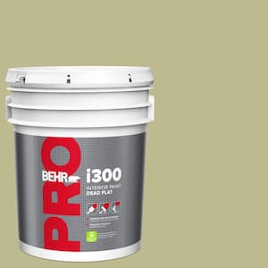 5 gal. #S340-4 Back To Nature Dead Flat Interior Paint