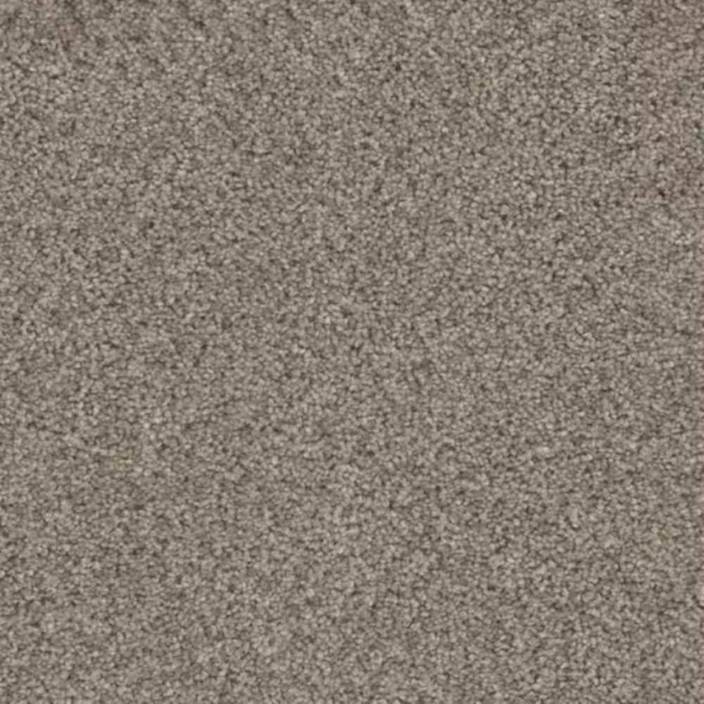8 in. x 8 in. Texture Carpet Sample-Trestle II-Color Tunnel price history on PriceWatchPro