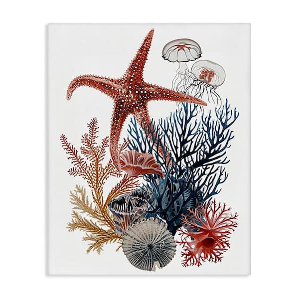 Stupell Industries Natural Aquatic Sea Creatures by Ramona Murdock Unframed Animal Graphic Art Print 30 in. x 24 in.