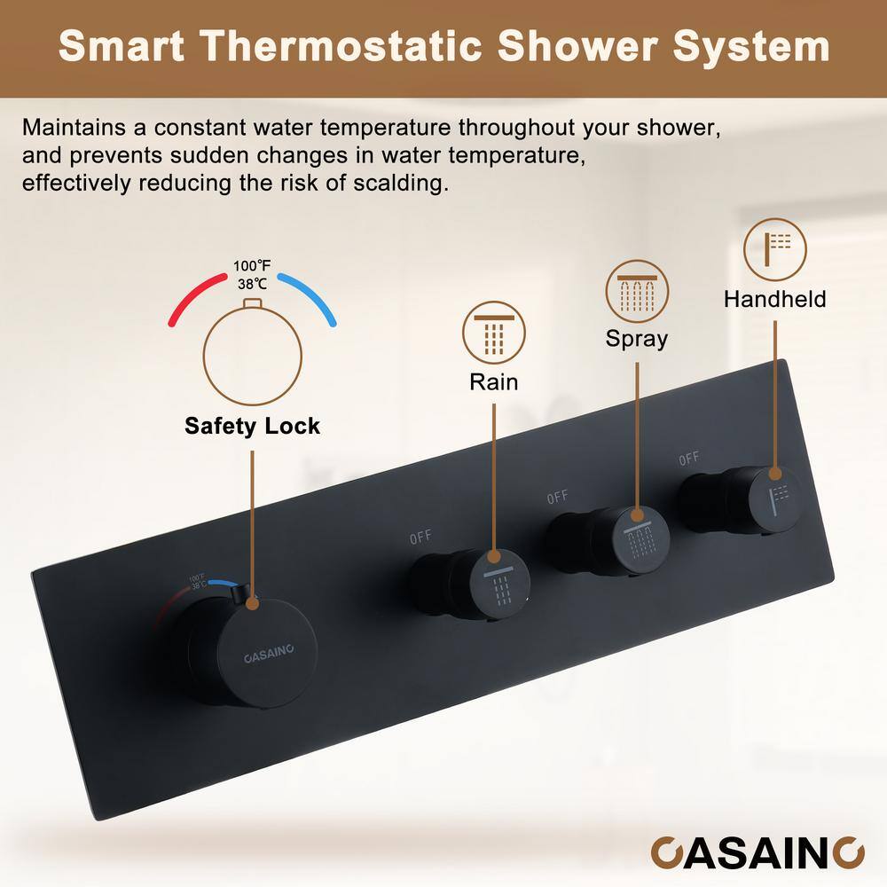 Matte Black Stainless Steel Rain and Pulse Shower System