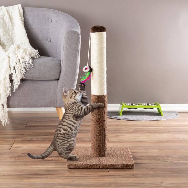 home depot cat scratching post