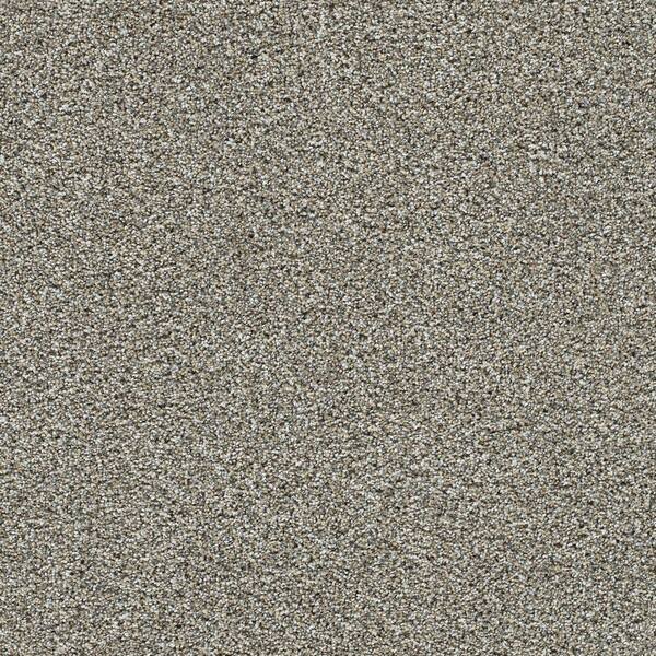 8 in. x 8 in. Texture Carpet Sample-Cozy Cloud-Color Comfy
