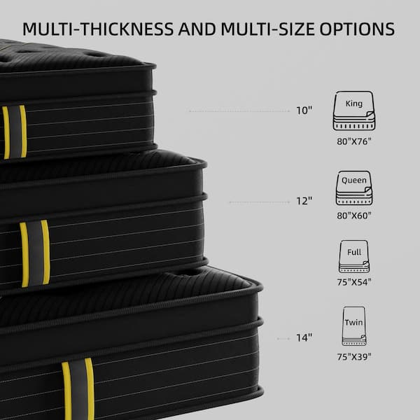 Black Queen Medium Firm Hybrid 12 in. Euro Top Support and Bed-in-a-Box Mattress