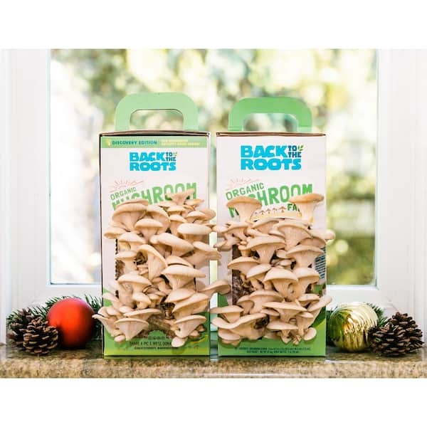 Back to the Roots Organic Mushroom Grow Kit -Discovery Edition (2-Pack)