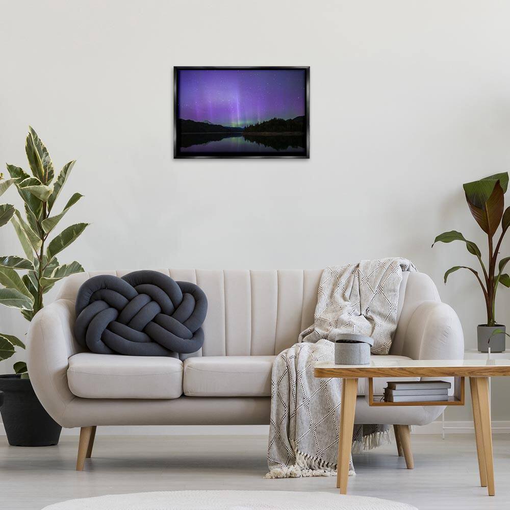 Luminous Purple Northern Lights by Nancy Crowell Black Floater Frame Nature Graphic Art Print 17 in. x 25 in. price history on PriceWatchPro