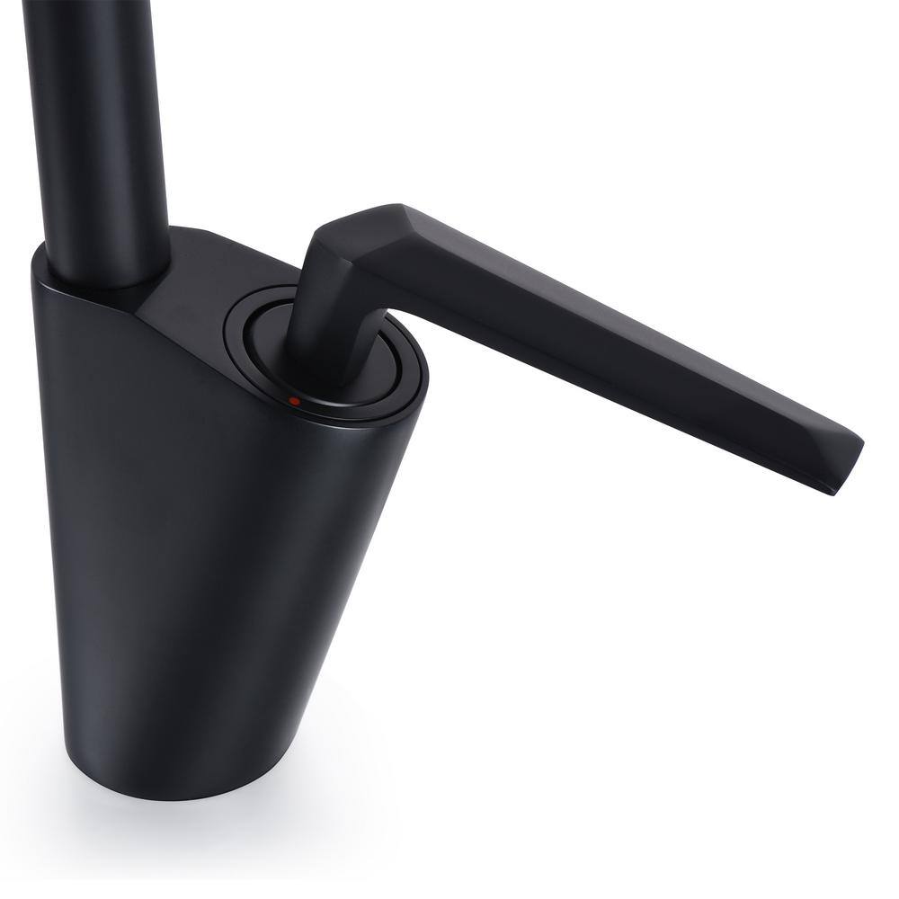 Matte Black Solid Brass Single Handle Kitchen Faucet with Pull-out Spray