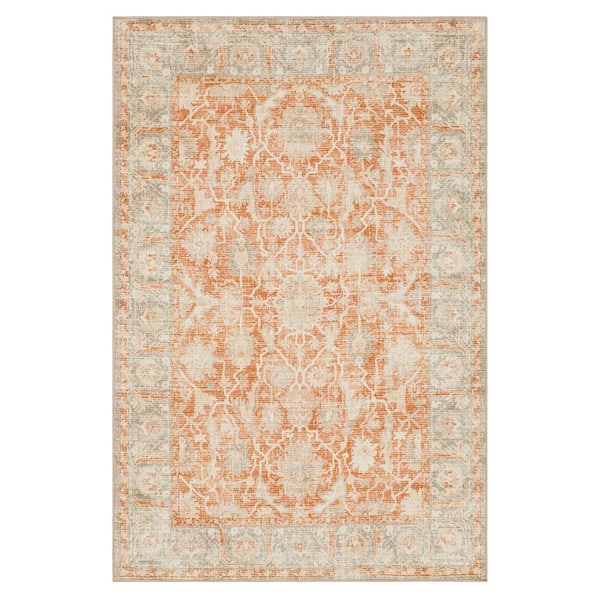 Paloma Terracotta 5 ft. 3 in. x 7 ft. 10 in. Ornamental Indoor Area Rug