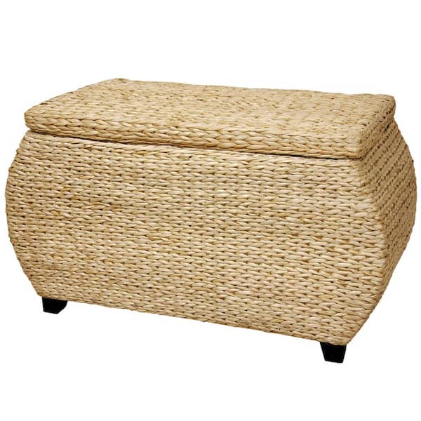 Beige and Tan Trunk