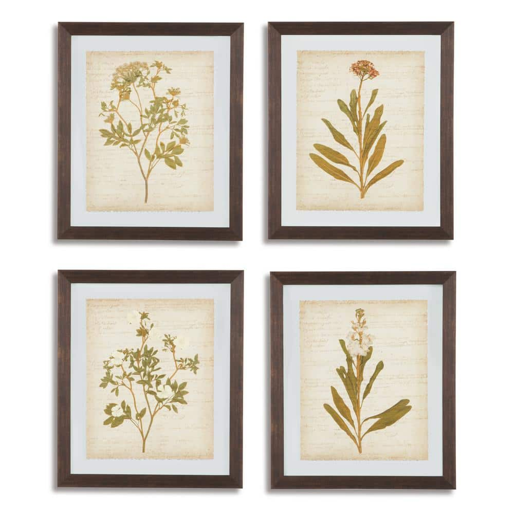 UPC 024052375428 product image for Dyani 4-Piece Framed Botanical Art Print 27 in. x 23 in. | upcitemdb.com