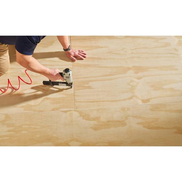 PATRIOT TIMBER PRODUCTS 1/5 in. x 4 ft. x 8 ft. Sanded Plywood 1/5 in. x 4-ft  x 8-ft RightPly Plywood - The Home Depot