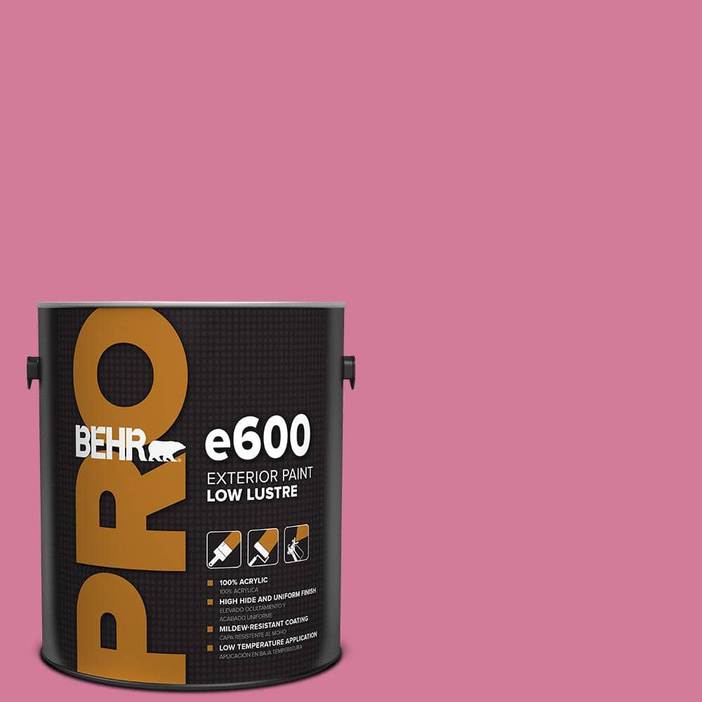 1 gal. #P130-5 Little Bow Pink Low Luster Exterior Paint price history on PriceWatchPro