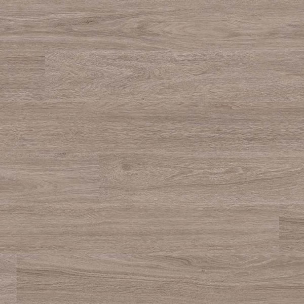 MSI Take Home Sample - 6 in. x 6 in. Woodlett Washed Elm Glue Down Adhesive Luxury Vinyl Plank Flooring