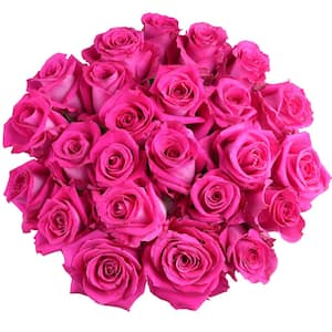 25-Stem Hot Pink Roses with Glass Vase-Fresh Cut Rose Arrangement