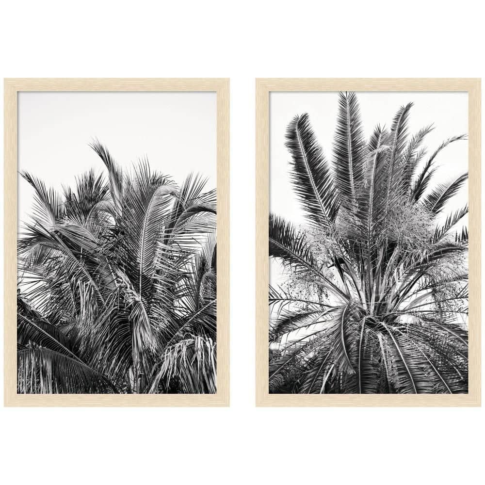 "2-Piece Woodgrain ""Palm No. 13 and 15"" by Alicia Bock Nature Framed Art Print Set 26 in. x 37 in." price history on PriceWatchPro