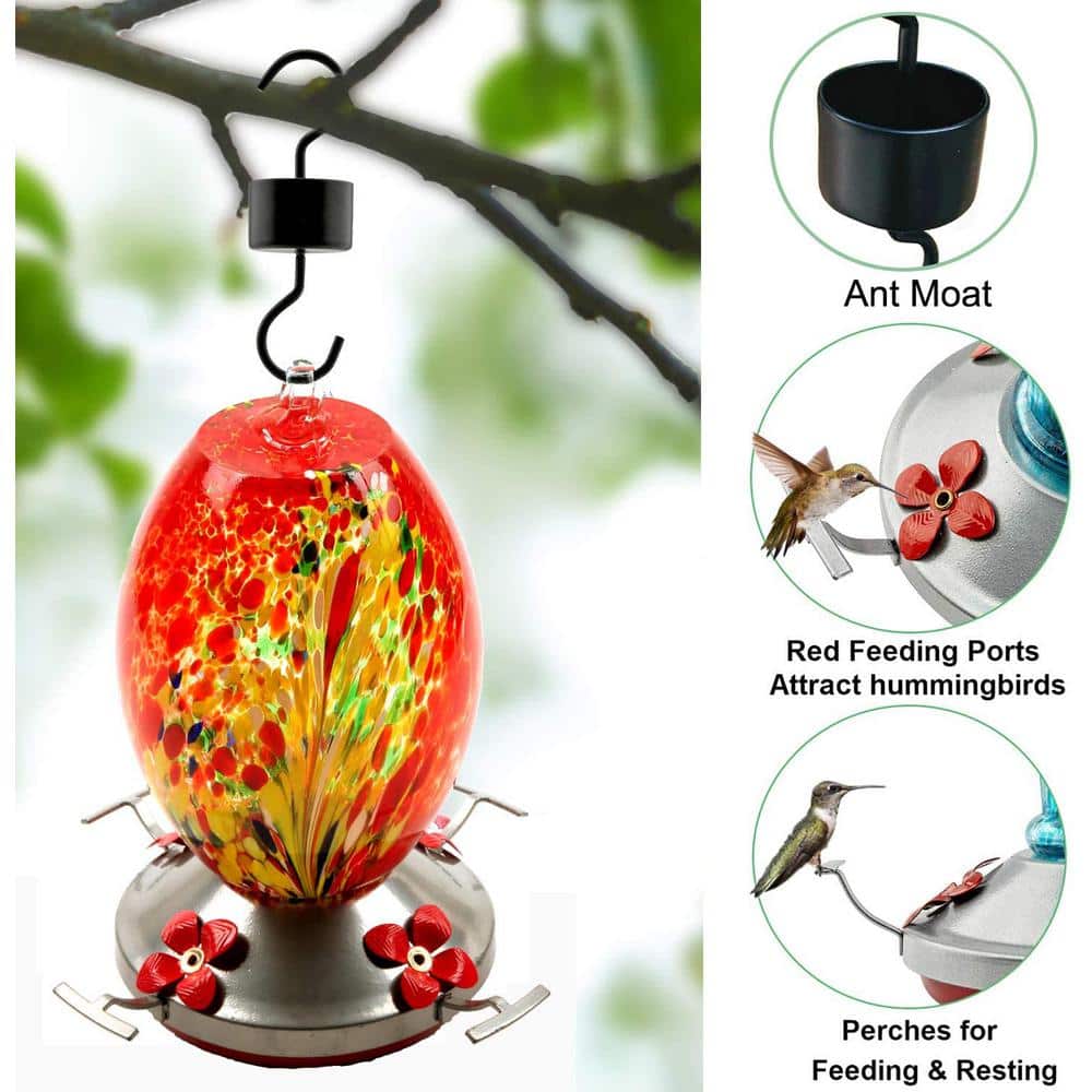 Hand Blown Glass Hanging Hummingbird Feeder with Perch