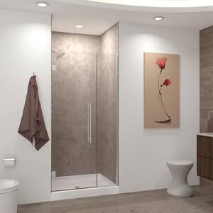 Elizabeth 36.5 in. W x 76 in. H Hinged Frameless Shower Door in Brushed Stainless with Clear Glass