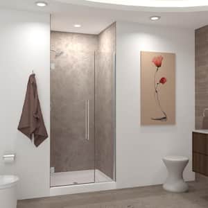 Elizabeth 37 in. W x 76 in. H Hinged Frameless Shower Door in Brushed Stainless with Clear Glass