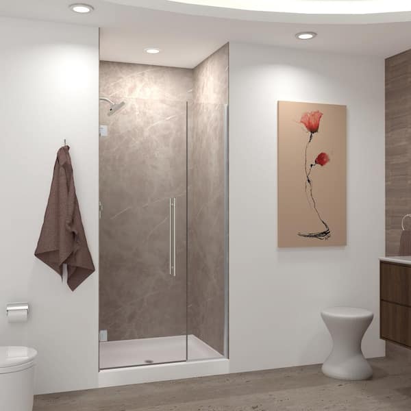 Transolid Elizabeth 45.5 in. W x 76 in. H Hinged Frameless Shower Door in Brushed Stainless with Clear Glass