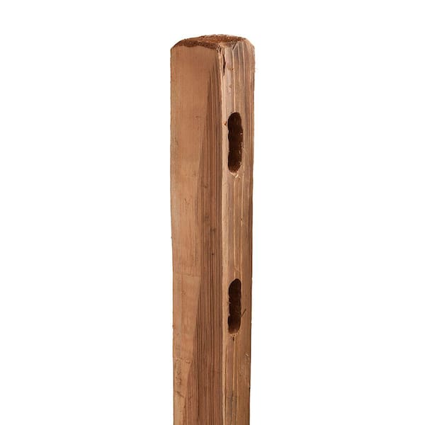 Outdoor Essentials 4 in. x 5 in. x 5 ft. 2-Hole Color-Treated Western Red Cedar Fence End Post
