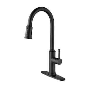 Single Handle Single Hole Kitchen Faucet with Pull Out Sprayer in Matte Black