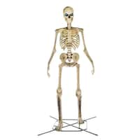 Home Accents Holiday 12ft Giant-Sized Skeleton w/LifeEyes