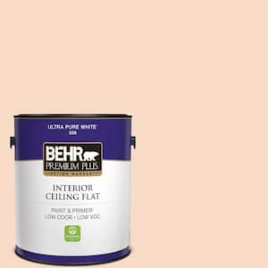 1 gal. #M210-2 Paper Heart Ceiling Flat Interior Paint
