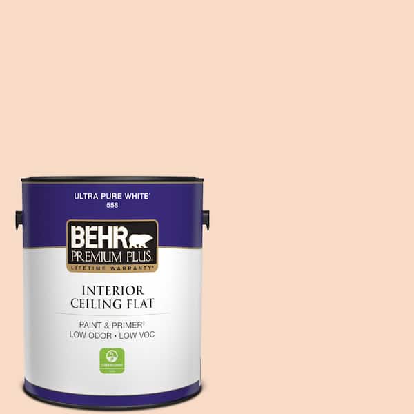 1 gal. #M210-2 Paper Heart Ceiling Flat Interior Paint & Primer