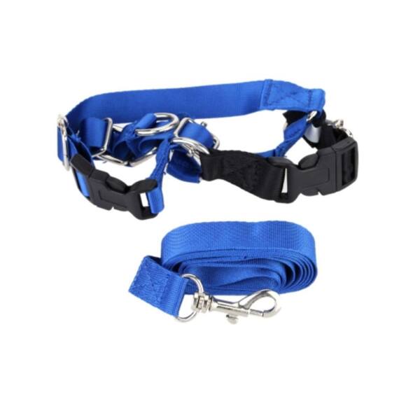 pets at home long dog lead
