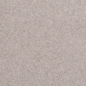 Brave Soul I - Sand Trap - Beige 34.7 oz. Polyester Texture Installed Carpet