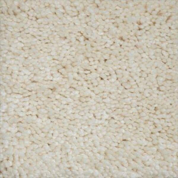 Lifeproof Carpet Sample - Tyus I - Color Barnswell Texture 8 in. x 8 in.