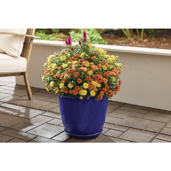 14 in. Delphine Blue Glazed Plastic Planter (14 in. D x 12 in. H) with Drainage Hole and Attached Saucer