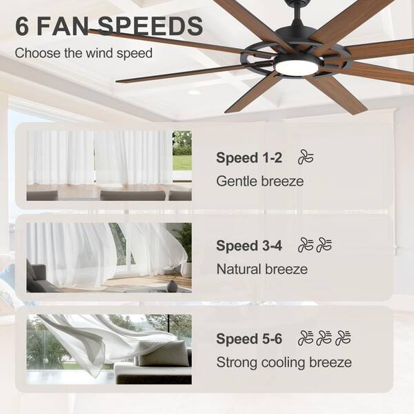 Flashwind 72 in. Indoor/Outdoor 8-Blade LED Bronze 6 Speed Ceiling