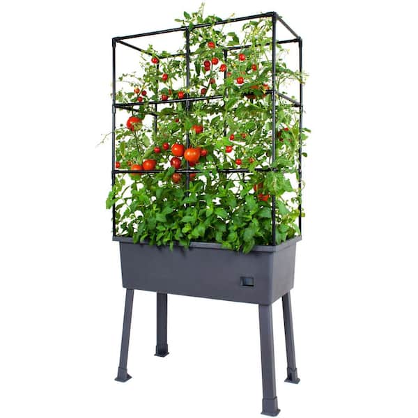 Frame It All Self-Watering 15.75 in. x 31.5 in. x 63 in. Plastic Elevated Planter w/Trellis Frame, Greenhouse Cover and Castor Wheels