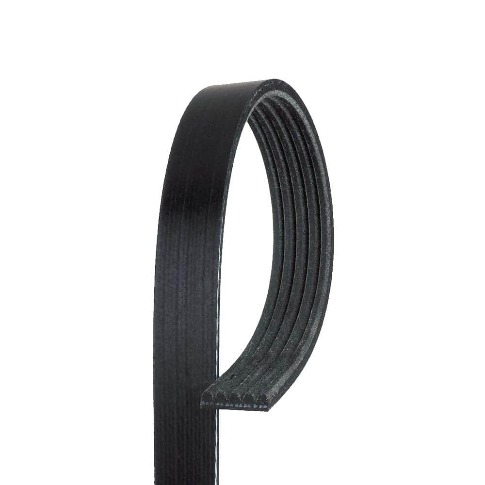 Standard Serpentine Belt - Power Steering and Air Conditioning