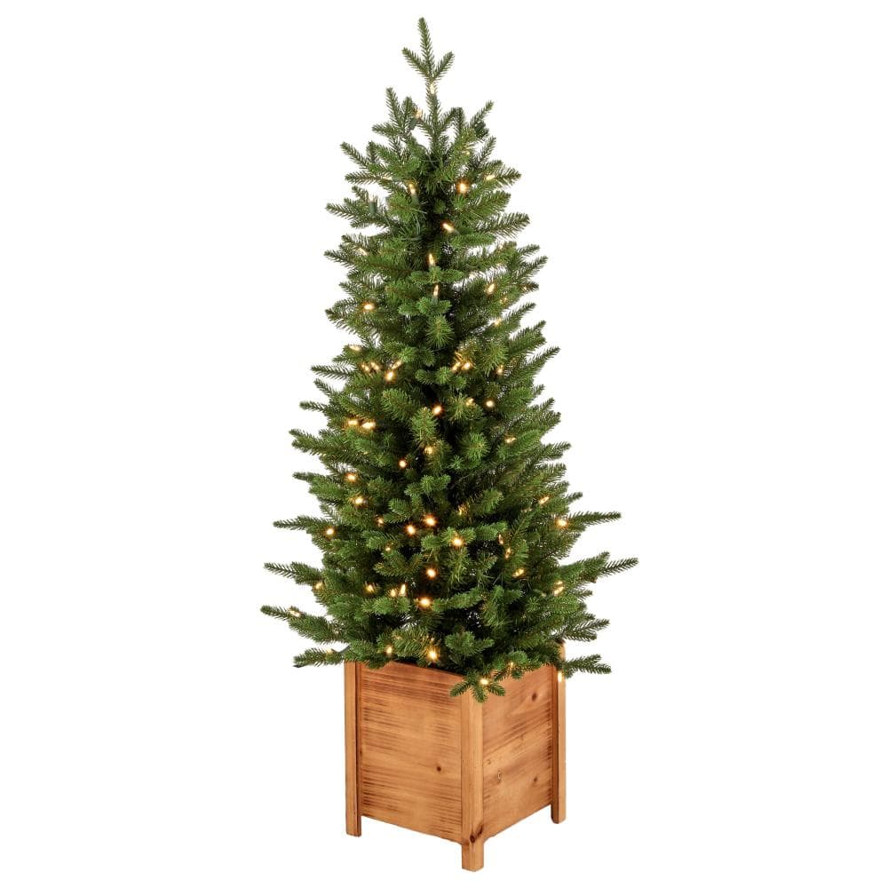 Regency Trees Regency International 4' Led Potted Ornamental Pine Tree MTX72873L-TGCB ...