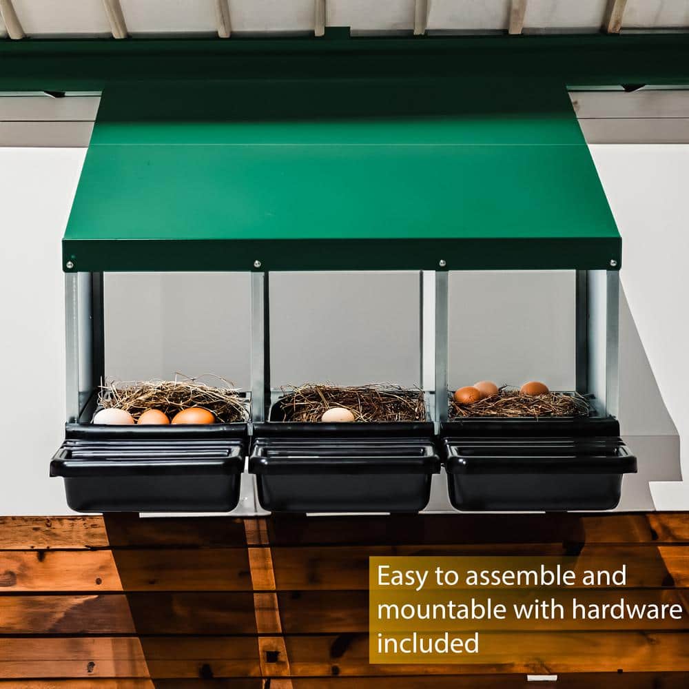 Green Galvanized Steel 3-Compartment Chicken Nesting Box